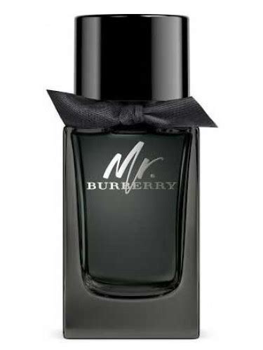 burberry mr burberry parfem cijena|Burberry parfemi u online trgovini .